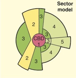 In the sector model, Homer Hoyt added what main characteristic to a city's development?   A) skyscrapers B) port functions C) transport corridors D) soil characteristics for housing construction