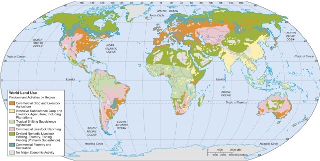 On the map of agricultural regions of the world, what is the dominant agricultural type in India and China?   A) commercial grain B) pastoral nomadism C) forestry D) intensive subsistence farming