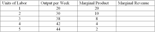 Use the table below to answer the question that follows. Claire's Pool Service   Price of a unit of output: $80. Cost to Claire's Pool Service of hiring one more unit of labor: $300 per week. Fill in the marginal revenue column,and tell how many units of labor Claire will hire (assuming she has to hire whole units of labor,not fractions).<div style=padding-top: 35px> 