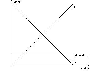 Figure 6-1 Panel (a) Panel (b)      -Refer to Figure 6-1.A binding price ceiling is shown in A)  panel (a) but not panel (b) . B)  panel (b) but not panel (a) . C)  both panel (a) and panel (b) . D)  neither panel (a) nor panel (b) .