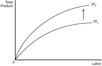 Figure 13-1 Suppose the production function shifts from TP1 to TP2.   -Refer to Figure 13-1.Which of the following could explain why the total product curve shifted in this diagram? A)  A reduction in capital equipment available to the firm. B)  Labor skills have become rusty and outdated in the firm. C)  The firm has developed new technology in its production facility. D)  The firm is now receiving a higher price for its product.
