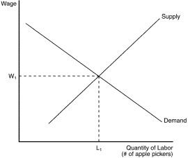 Figure 18-5   -Refer to Figure 18-5.If the price of apples decreases,the wage will A)  increase and more apple pickers will be hired. B)  decrease and more apple pickers will be hired. C)  increase and fewer apple pickers will be hired. D)  decrease and fewer apple pickers will be hired.
