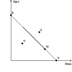 Figure 21-2   -Refer to Figure 21-2.A consumer that chooses to spend all of her income could be at which point(s) on the budget constraint? A)  V only B)  Z only C)  V,W,X,or Y only D)  W,X,or Y only