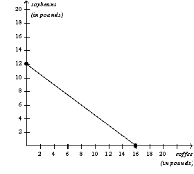 Figure 3-8        -Refer to Figure 3-8.If Chile and Colombia each divides its time equally between making coffee and making soybeans,then total production is A)  12 pounds of coffee and 12 pounds of soybeans. B)  14 pounds of coffee and 9 pounds of soybeans. C)  16 pounds of coffee and 6 pounds of soybeans. D)  28 pounds of coffee and 18 pounds of soybeans.