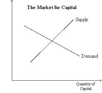 Figure 18-1   -Refer to Figure 18-1.Suppose the intersection of the supply and demand curves matches with a value of $200 on the vertical axis.Then A)  the marginal product of capital is 200. B)  the value of the marginal product of capital is $200. C)  a unit of capital can be purchased for $200. D)  each worker in markets that produce capital goods earns a wage of $200.