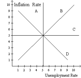 Figure 35-5   -Refer to figure 35-5. In this order, which curve is a long-run Phillips curve and which is a short-run Phillips curve? A)  A, B B)  A, D C)  C, B D)  None of the above is correct.