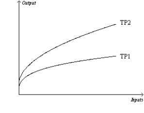 Figure 13-1   -Refer to Figure 13-1. Suppose the production function shifts from TP2 to TP1. Such a shift in the total product curve is most likely due to a decrease in the firm's A)  costs of production. B)  product price. C)  market share. D)  productivity.