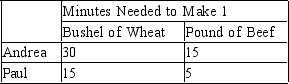 <strong>Table 3-4 Assume that Andrea and Paul can switch between producing wheat and producing beef at a constant rate. Refer to Table 3-4. Assume that Andrea and Paul each has 480 minutes available. If each person divides his time equally between the production of wheat and beef, then total production is</strong> A) 24 bushels of wheat and 64 pounds of beef. B) 21 bushels of wheat and 33 pounds of beef. C) 16 bushels of wheat and 48 pounds of beef. D) 5 bushels of wheat and 24 pounds of beef.