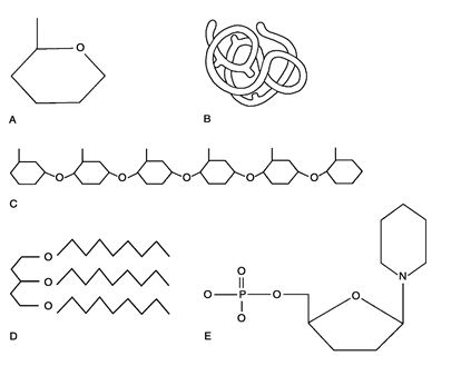   Figure 2.1 Using Figure 2.1, match the following: Nucleotide<div style=padding-top: 35px> 