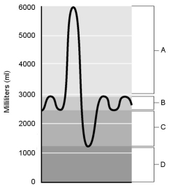    Figure 21.2 Using Figure 21.2, match the following: -Tidal volume.