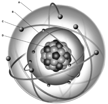 Where are the protons located in the image of an atom below?   A) A B) B C) C D) D