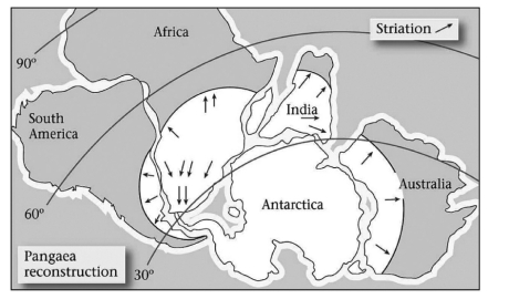 Late Paleozoic glacial deposits are NOT found in   A) India. B) southern Africa. C) North America. D) South America.