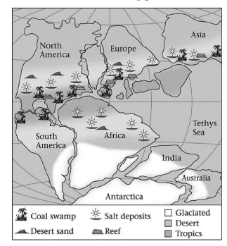 Consult the figure below. Abundant swamps led to the formation of coal during the Late Paleozoic in which of the following places?   A) India B) southern Africa C) North America D) Antarctica