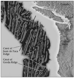 According to the figure below, marine magnetic anomalies lay roughly __________ to mid-ocean ridges.   A) perpendicular B) parallel C) adjacent D) at an obtuse angle