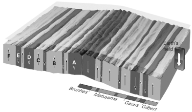 Using the image below, which marine magnetic anomalies show a reversed polarity?   A) A; D; E B) A; B; F C) B; C; F D) C; D; F