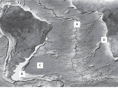 According to the image below, where is new oceanic crust being formed?   A)  A B)  B C) C D) D