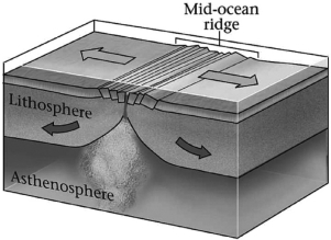 Which basic type of plate boundary is shown in the image below?   A) divergent B) convergent C) transvergent D) transform