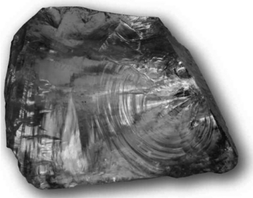 The image below shows a mineral specimen of quartz. What is the term for the smoothly curving, clamshell-shaped surface on the sample below?   A) conchoidal fracture B) facet C) cleavage plane D) striation