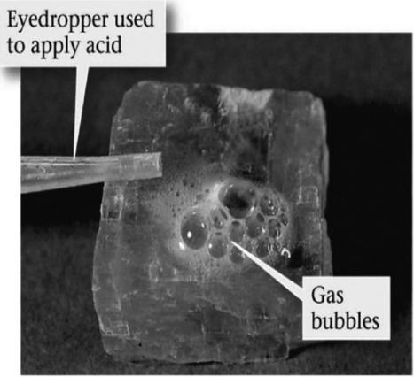 The image below shows a mineral with hydrochloric acid applied to it. What mineral is this?   A) quartz B) halite C) calcite D) fluorite