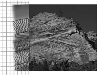 Consult the figure below. Here, distinct internal laminations are inclined at an angle to the boundary of the main sedimentary layers. This is termed __________ bedding.   A) graded B) cross C) horizontal D) tilted