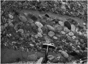 The image below shows an outcrop of coarse-grained sedimentary rock. Note the rock hammer for scale. What is an appropriate name for this rock?   A) sandstone B) shale C) breccia D) conglomerate