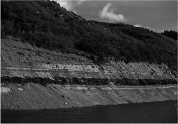 The image below shows a layer of ________, which is an accumulation of dead plant material.   A) limestone B) coal C) sandstone D) chalk