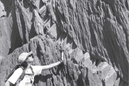 The image below shows   A) foliation. B) migmatite. C) pressure solution. D) metasomatism.