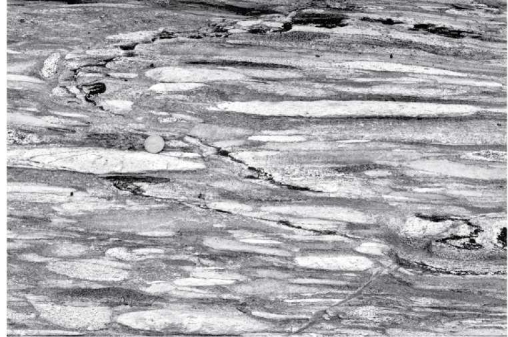 What was the direction of compression that formed the foliation in the image below?   A) top and bottom, pressing inward B) both sides, pressing inward C) top and bottom, pulling outward D) in and out of the image, pulling outward