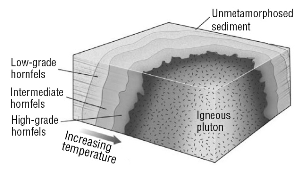 Consult the figure below. The region of thermally metamorphosed rock surrounding a cooled pluton is called a(n)    A) shear zone. B) aureole. C) chilled margin. D) metamorphic ring.