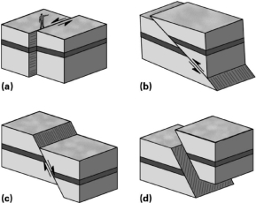 Which of the following faults could result from both strike-slip and dip-slip stresses?   A) A B) B C) C D) D