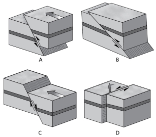 Which of the following shows a thrust fault?   A) A B) B C) C D) D