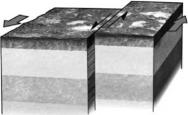 If a fault is nearly vertical in orientation and the two walls of rock on opposite sides slide past one another horizontally, the fault is termed a ___________ fault. Refer to the following figure for an example of such a feature.   A) normal B) reverse C) strike-slip D) thrust
