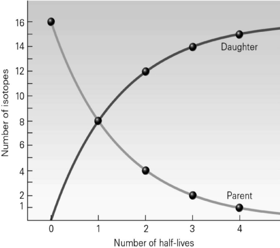 According to the following image, after one half-life has passed, what is the ratio of parent isotopes to daughter isotopes?   A) 16:0 B) 8:8 C) 4:12 D) 2:16