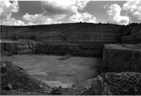 The image below is of a limestone quarry in Illinois. On the wall at the very back of the quarry you can see geologic strata that appear to curve upward. What type of depositional environment do these layers represent?   A) lines made by the miners as they remove material B) cross-bedding produced at eolian sand dunes C) layers of deep marine, sedimentary basin deposits D) layers of shallow marine, continental shelf deposits