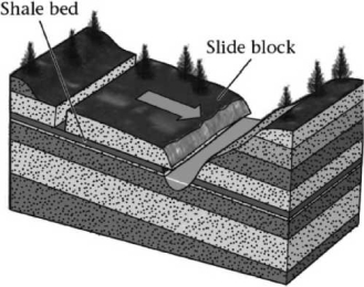 The ___________ in the sequence of sedimentary rocks shown below may become a failure surface.   A) bedding planes B) exfoliation joints C) foliation planes D) uplift planes