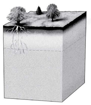 Label the three zones that water moves through as it percolates into Earth on the image below. Also indicate the location of the water table.   