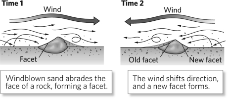 Wind erosion can create a faceted rock known as a __________ as shown in the figure below.   A) ventifact B) lag deposit C) yardang D) wadi