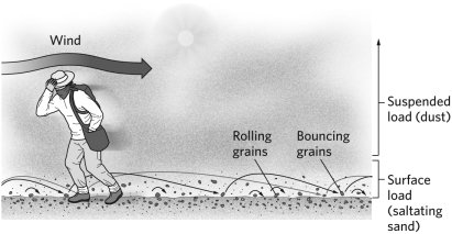 In the figure below, the sand grains are being transported by   A) desertification. B) saltation. C) surface creep. D) deflation.