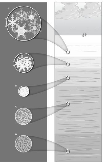 Which of the images below shows the oldest snow?   A) A B) B C) C D) D