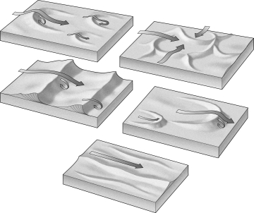 Label the images below with the name of the type of sand dune shown.   