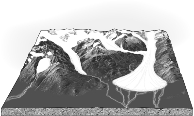 Label the glaciers in the image below using words from the word bank included (hint: not all the names will be used). piedmont glacier	cirque glacier continental glacier	valley glacier	ice apron tidewater glacier	hanging glacier	mountain ice cap   