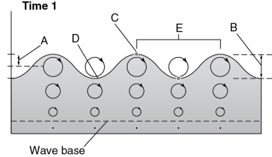 In the figure below, which letters represent the crest and trough?   A) A and B B) E and D C) C and D D) C and B
