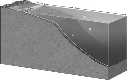 Using the figure below, identify the photic zone, the aphotic zone, and the benthic zone.   A) littoral zone = A, neritic zone = B, oceanic zone = C B) littoral zone = C, neritic zone = A, oceanic zone = B C) littoral zone = C, neritic zone = B, oceanic zone = A D) littoral zone = B, neritic zone = C, oceanic zone = A