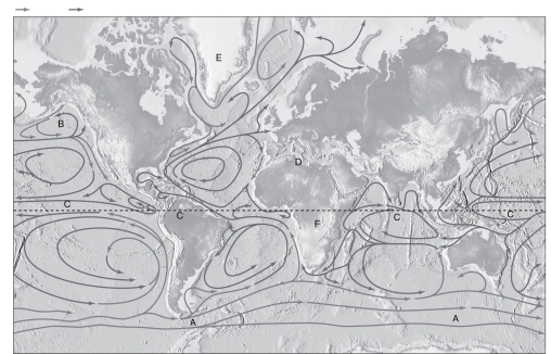 Label the ocean currents of ocean basins shown in the image below using the following word bank (hint: not all of the words will be used).   Alaska Current Benguela Current California Current Canary Current Equatorial Counter Current East Australian Current West Greenland Current West Wind Drift<div style=padding-top: 35px> 