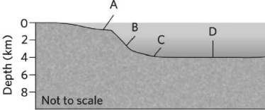 Which location on the figure below is the continental slope?   A) A B) B C) C D) D