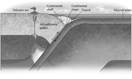 The schematic shown below illustrates a(n)    A) emergent coast. B) submergent coast. C) active margin. D) passive margin.