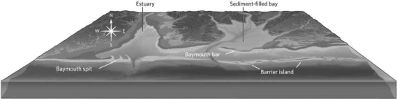 In the figure below, which direction is the longshore current?   A) south B) east C) west D) It is not possible to tell.