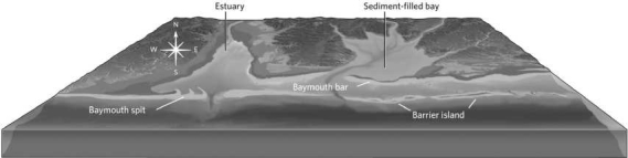 In the figure below, which direction is the longshore drift?   A) south B) east C) west D) It is not possible to tell.