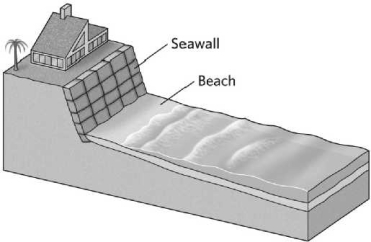 Notice the newly constructed seawall in the illustration below. The MOST likely outcome of its construction is that the seawall will   A) permanently protect the home from beach erosion. B) increase sediment production on the beach, decreasing the rate of erosion. C) deter biologic activity that might compromise the integrity of the cliff. D) temporarily protect the cliff from beach erosion.