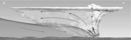 The image below depicts thunderstorm formation as a result of   A) lifting caused by gust fronts. B) warming from below. C) frontal lifting. D) orographic lifting.